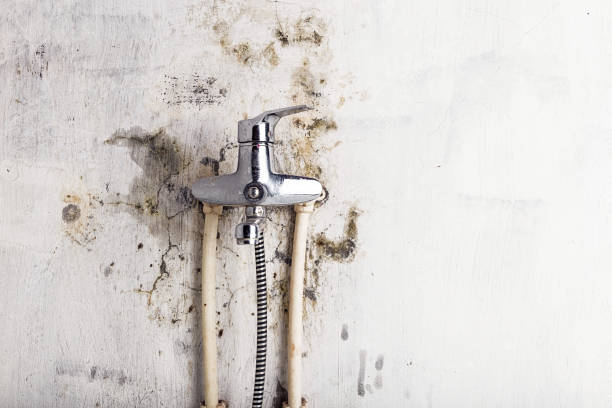 Water Damage Restoration in Rock Hill, MO