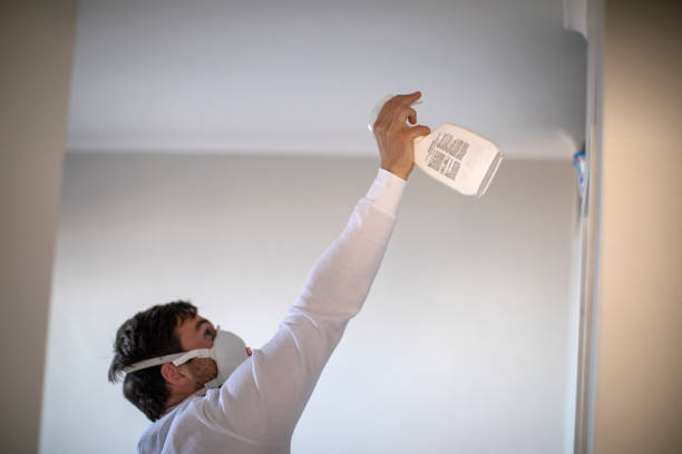 Best Mold Testing  in Rock Hill, MO