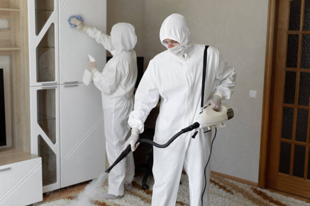 Mold Removal Process in Rock Hill, MO