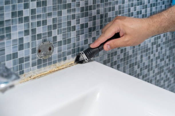 Best Mold Damage Repair  in Rock Hill, MO