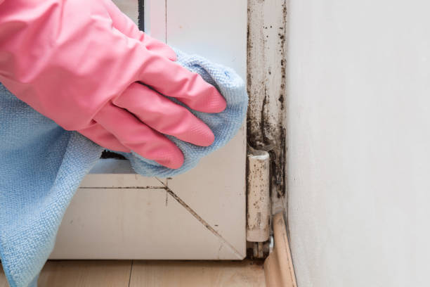Best Crawl Space Mold Removal  in Rock Hill, MO